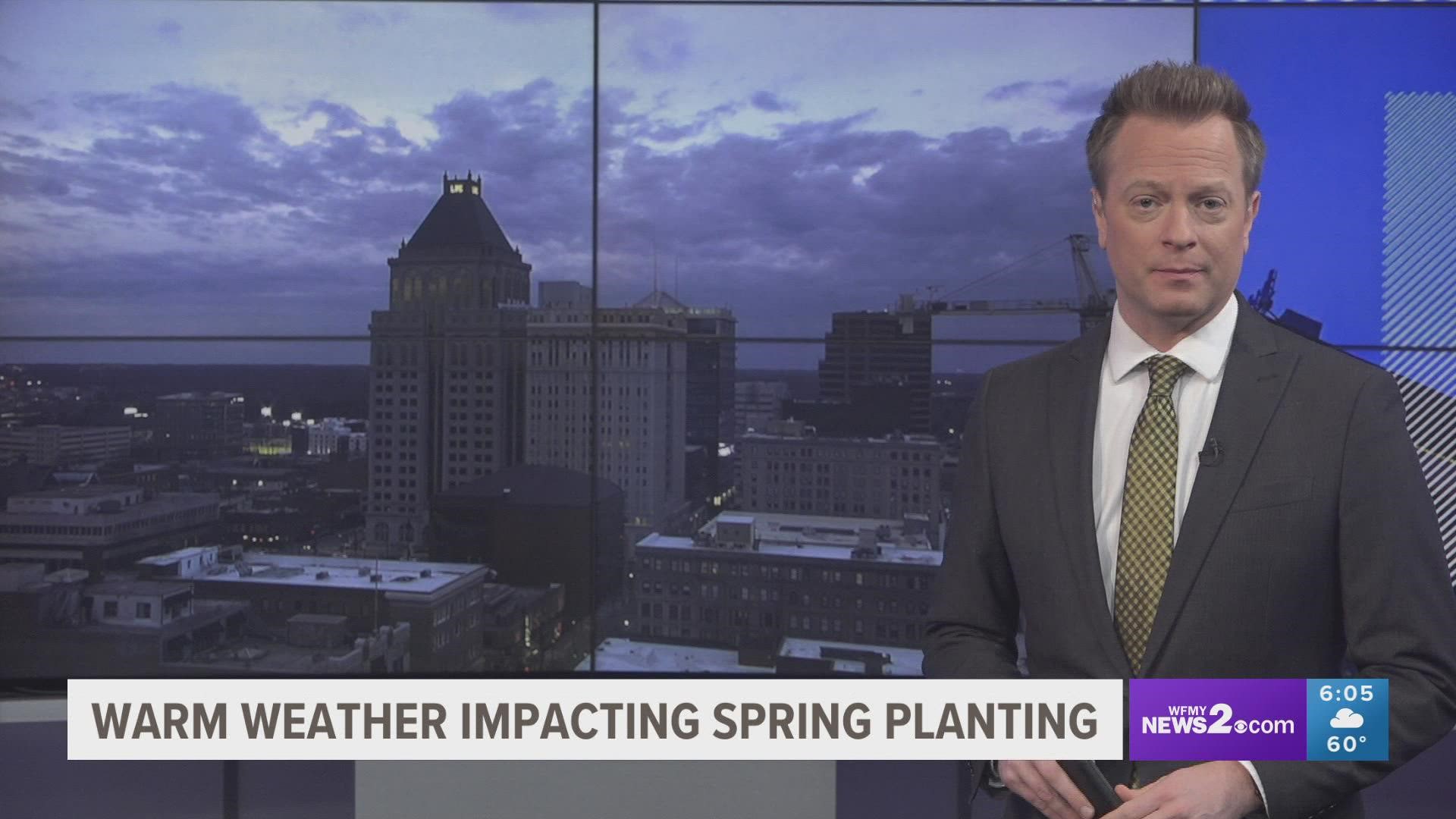 February has seen its fair share of warm days, but North Carolina gardening experts say you should wait to plant until at least April.