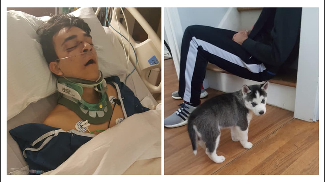 15YearOld Critically Injured, Dog Killed After Greensboro HitAndRun