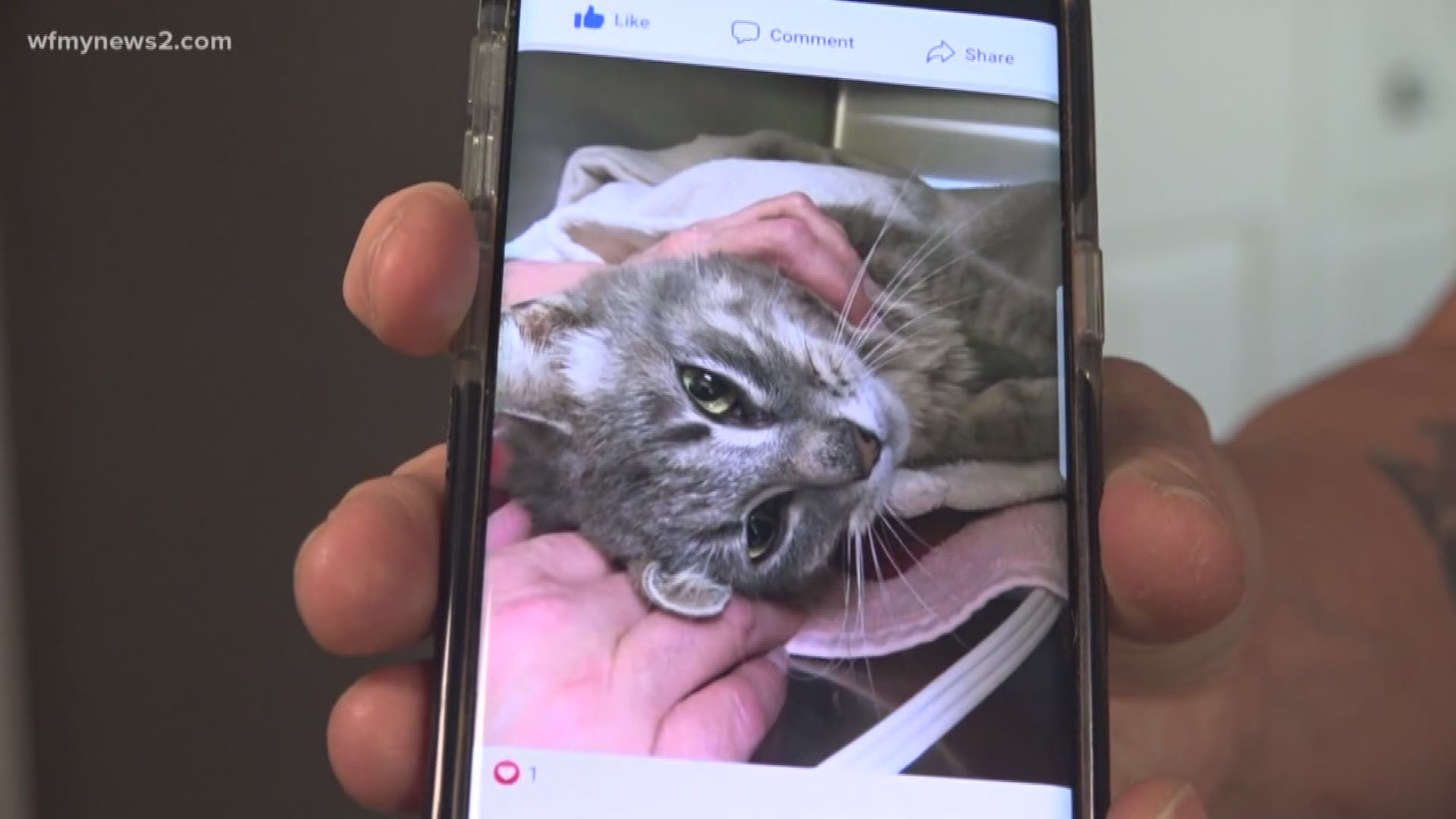 She found the cat with extensive third degree burns. Now police are investigating.
