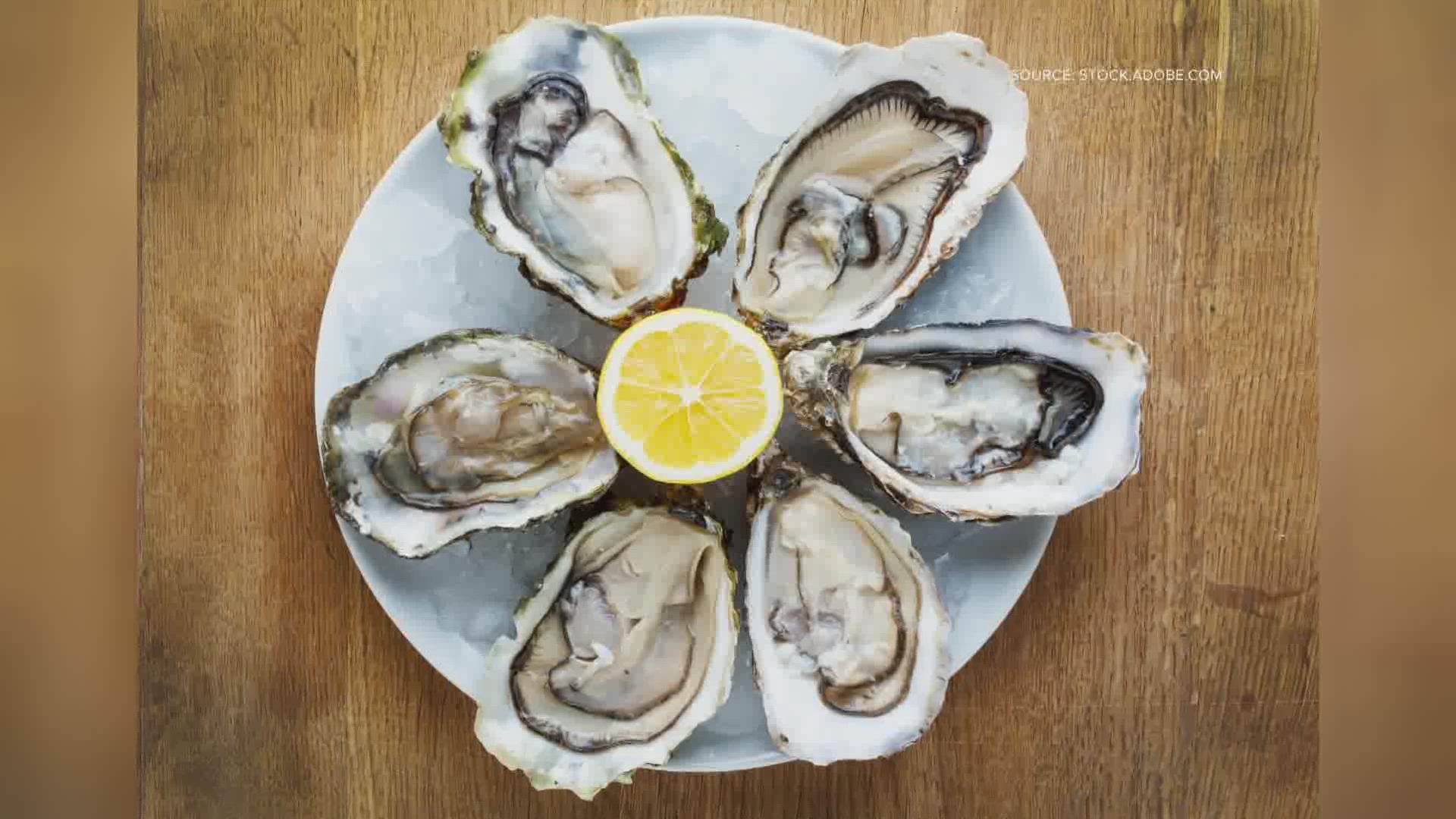 The old claim not to eat oysters in summer is an old wives’ tale. Refrigeration and modern farming have made oysters edible year-round, though cooked are safest.