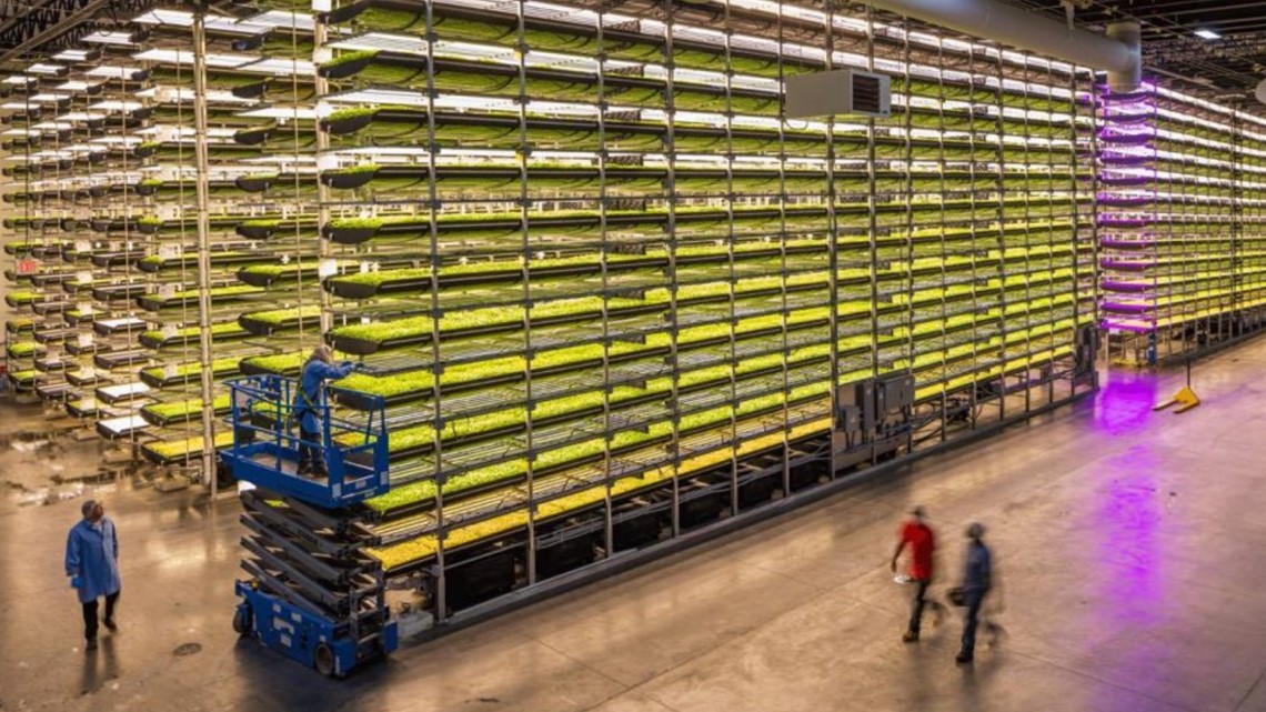 AeroFarms Indoor vertical farm to bring 92 new jobs to Danville