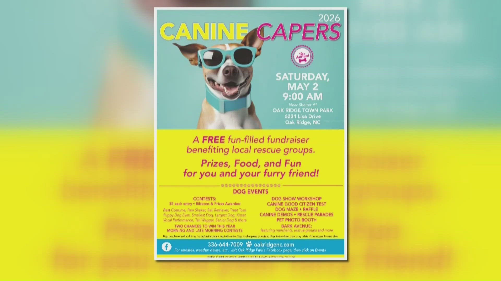 Canine Capers event comes to Oak Ridge | wfmynews2.com