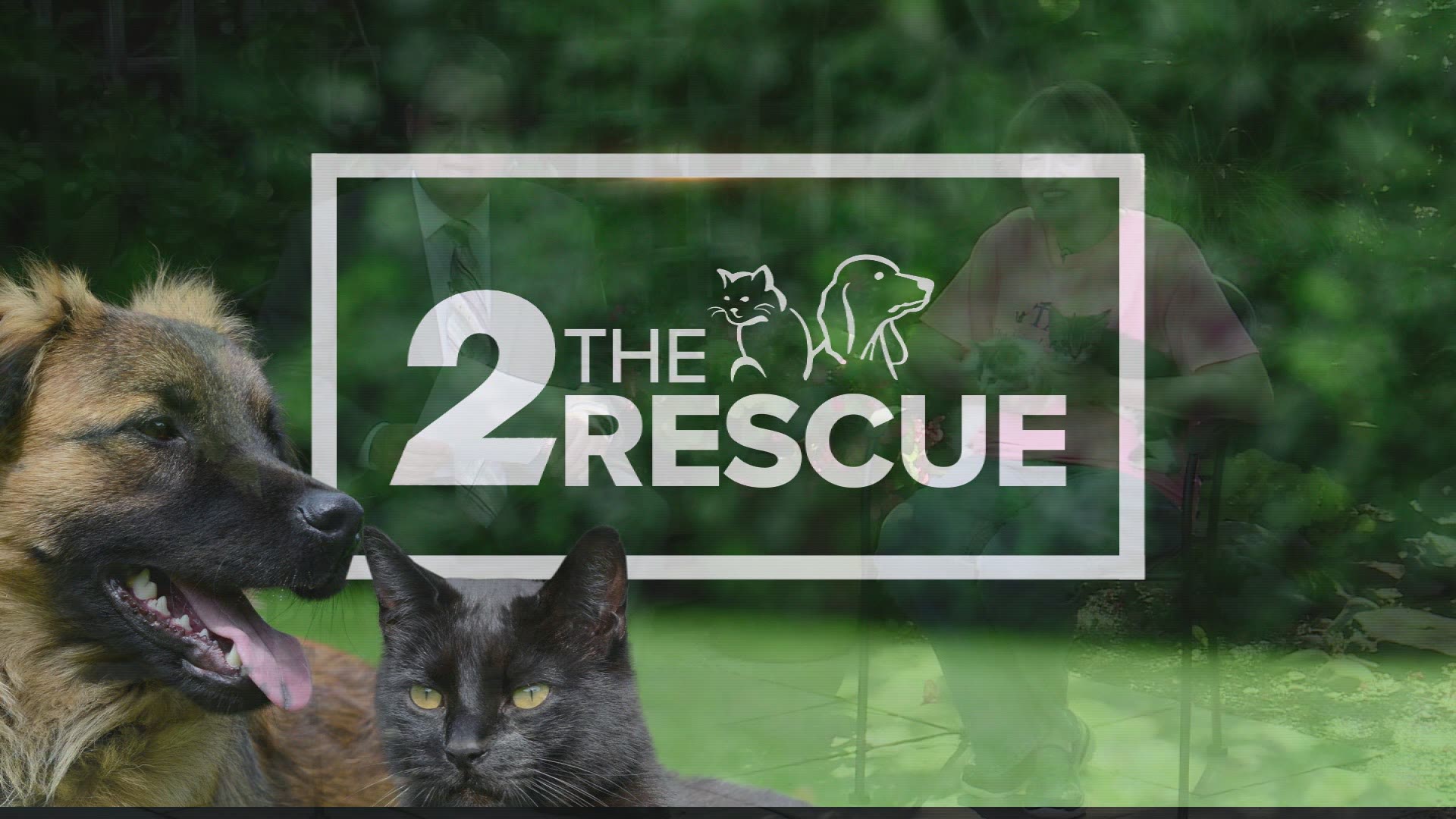 2 the Rescue: Toby and Edie