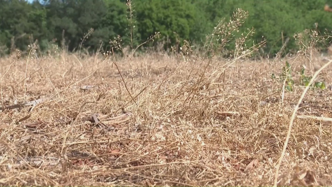 Firefighters warn everyday yard work could spark fires during Triad drought
