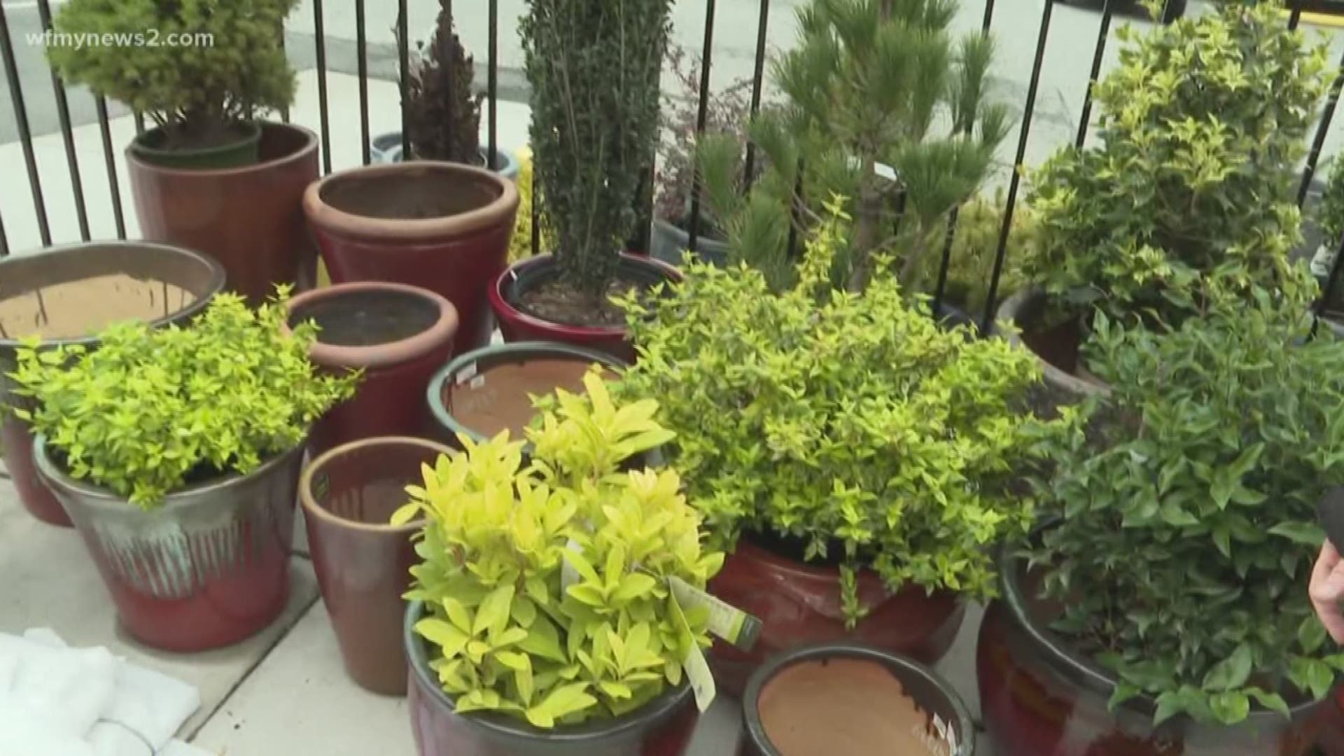 Eric Chilton talks with local experts on how to protect plants when temperatures rise and fall drastically.