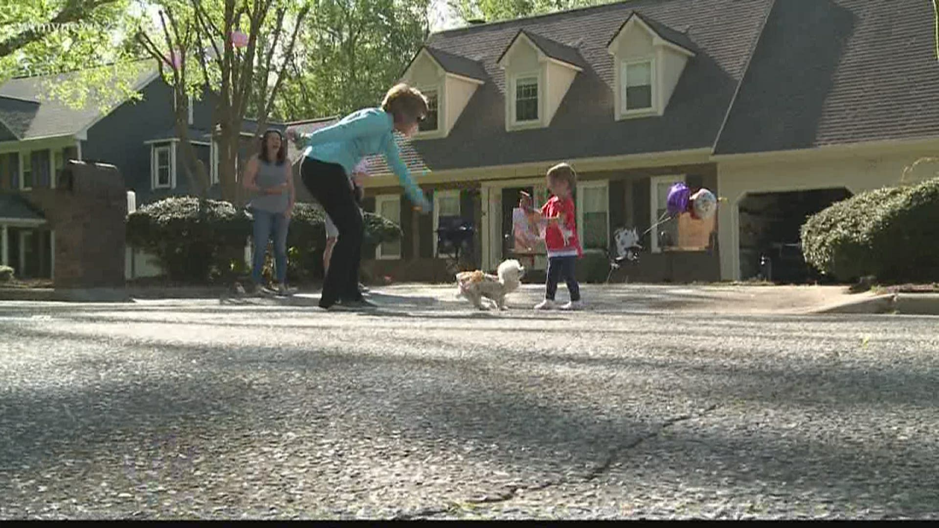 Little Elizabeth loves watching folks walk their dogs. For her birthday, her parents decided to bring dozens of dogs to the front yard.