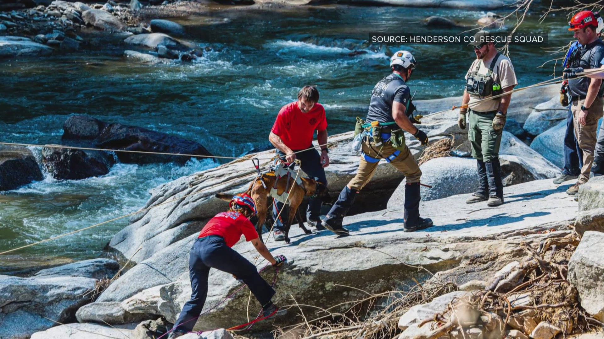 The dogs were hooked up to a highline in order to cross the river safely.