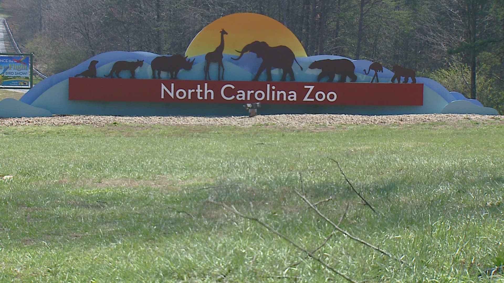 NC Zoo conservationist Rich Bergl co-invented SMART -- a device that is already saving some threatened animals from the brink of extinction.