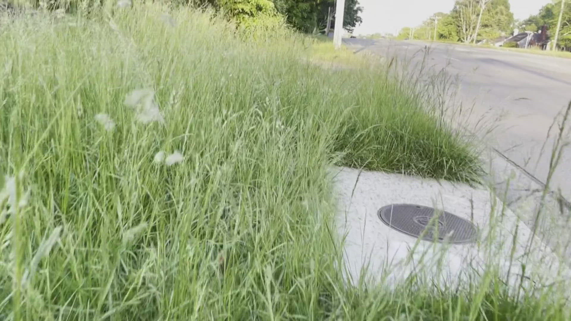 Tall grass is the number one code complaint the City gets. And fines start around $300.