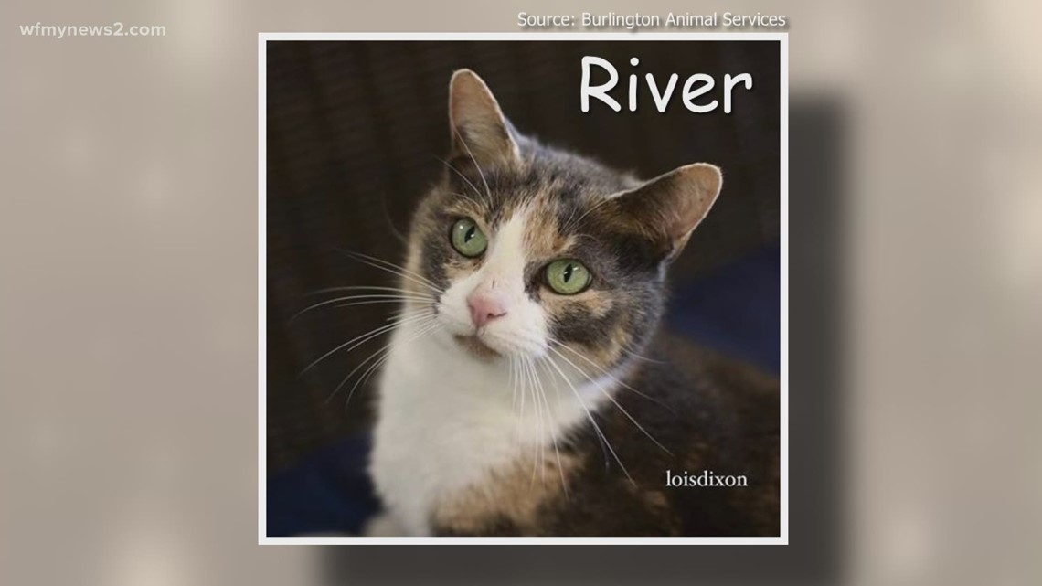 2 the Rescue: Meet River - Vimarsana News