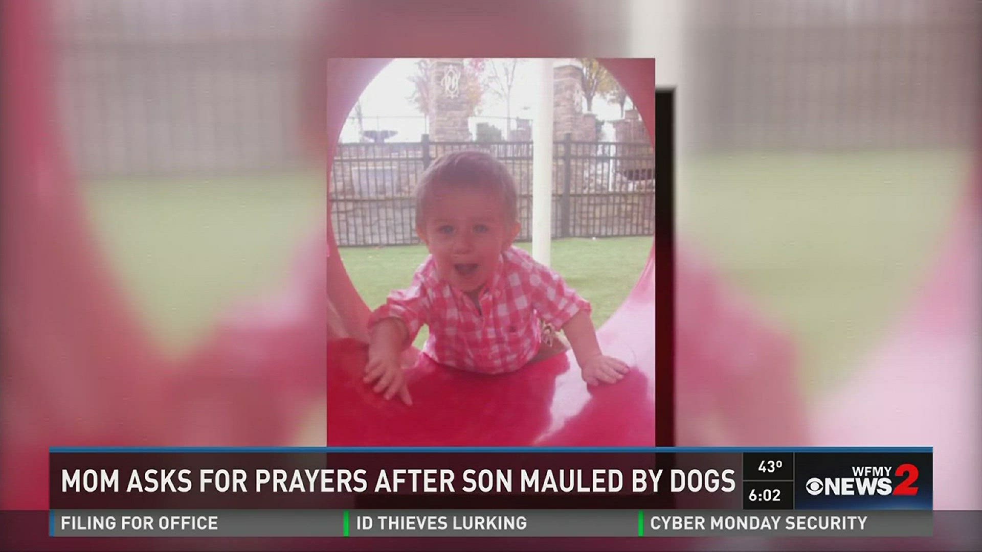 Raleigh Toddler Seriously Hurt In Dog Attack | wfmynews2.com