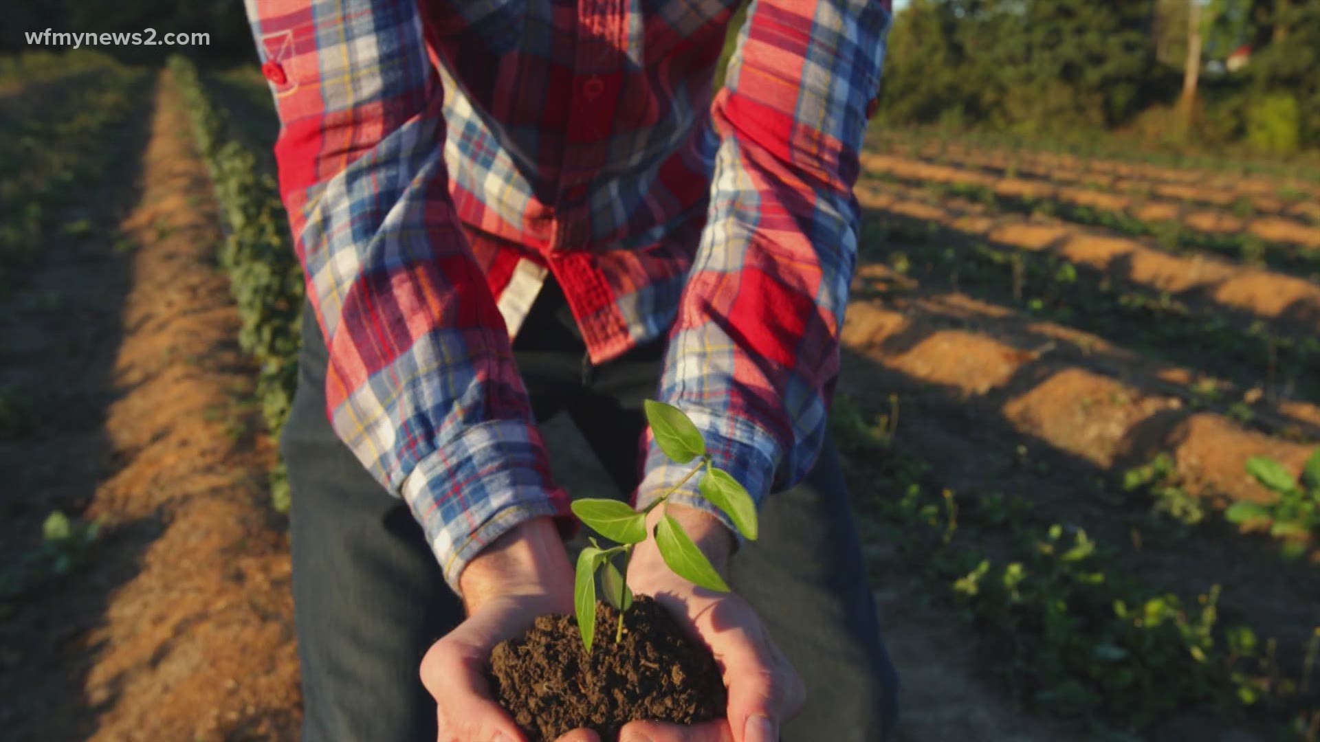 The North Carolina Cooperative Extension Agency created the app Visit NC Farms. It connects residents to local farmers and events in the state.