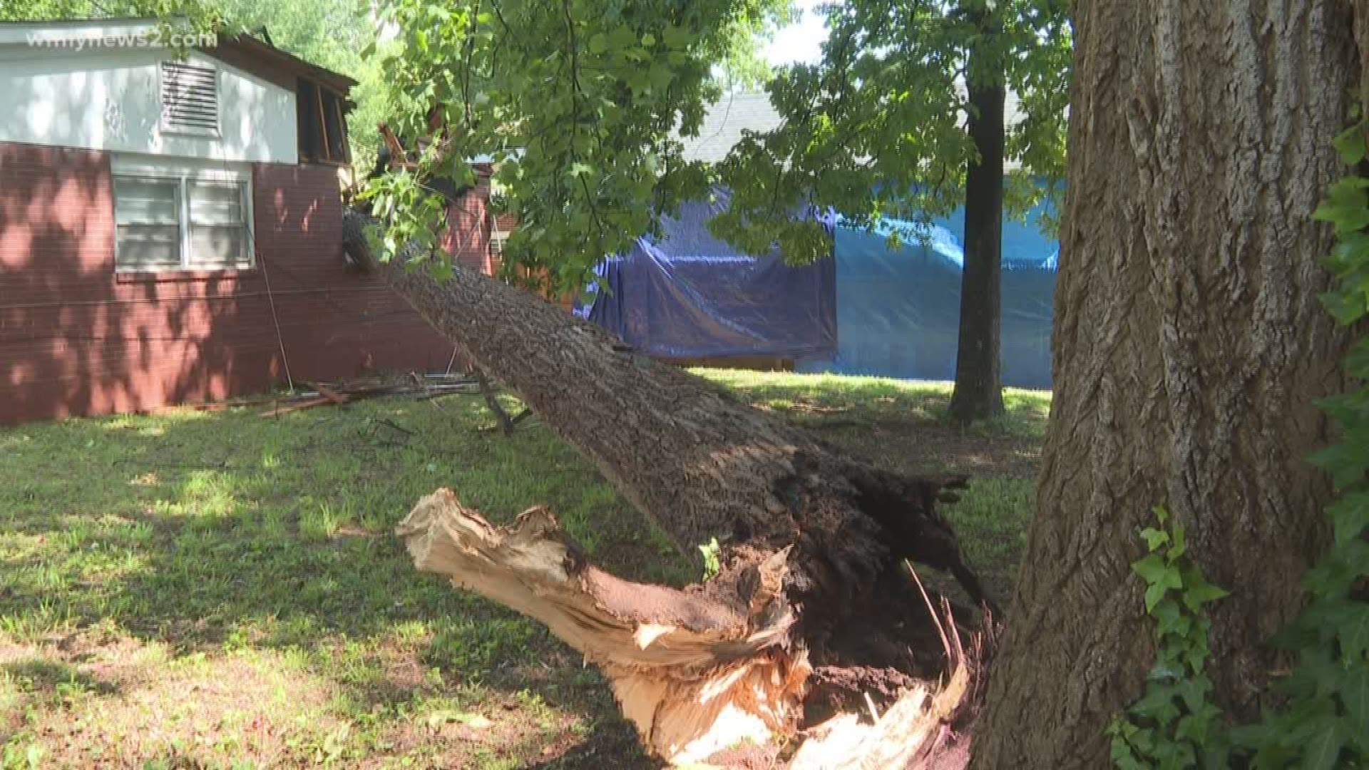 We spoke with the renters who say it was only a couple days ago when they started taking a hard look at the massive tree and decided it need to be taken down but mother nature had other plans.