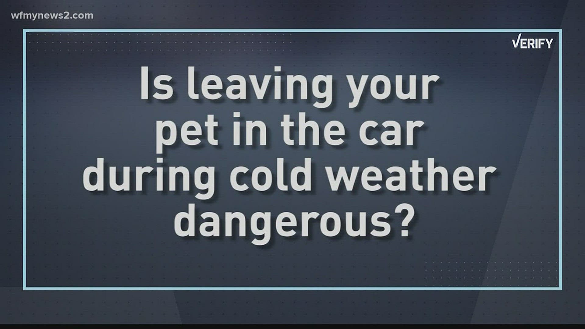 VERIFY Is It Dangerous To Leave A Pet In Cold Car?