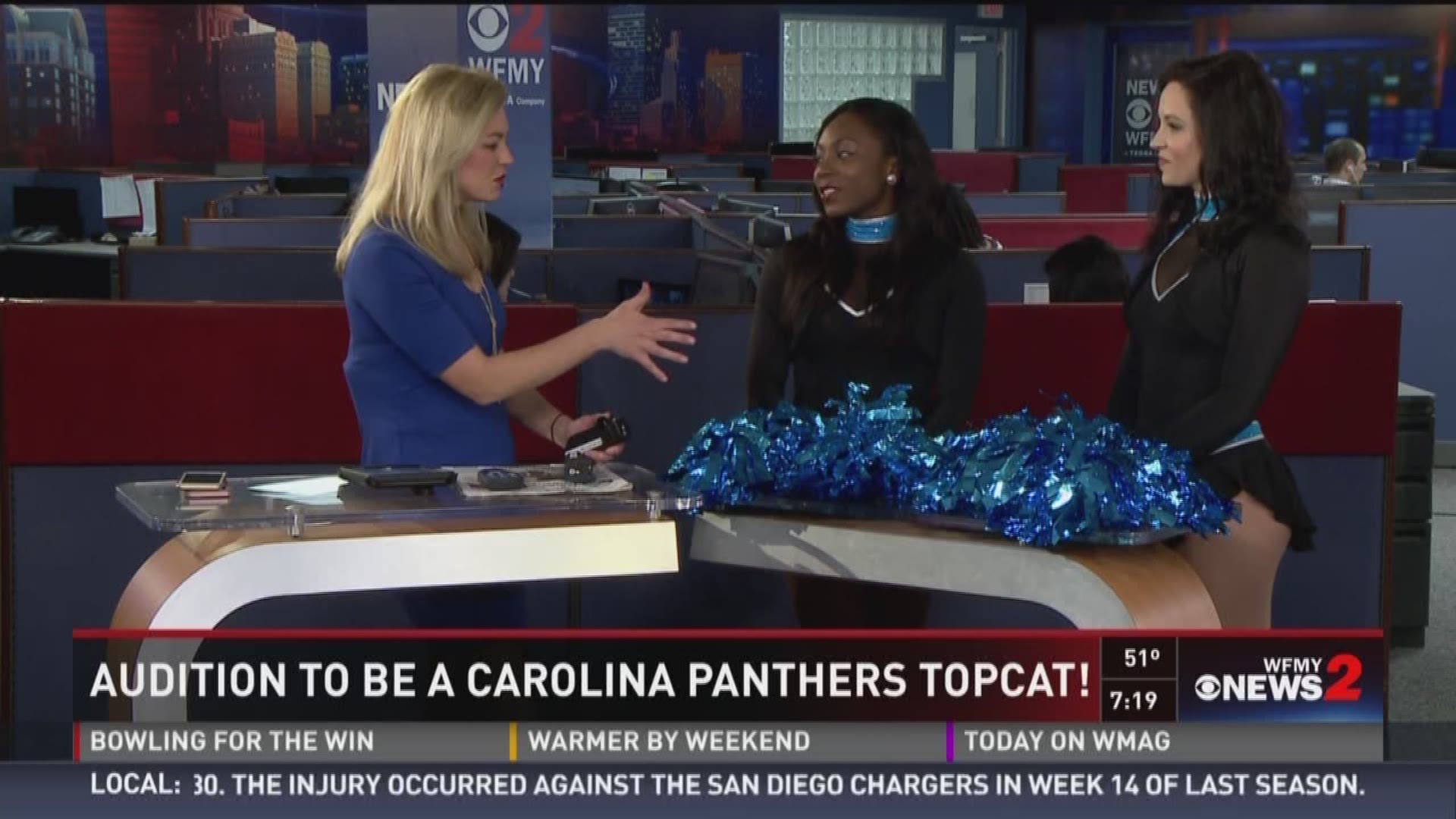 Audition To Be A Carolina Panthers Topcat!