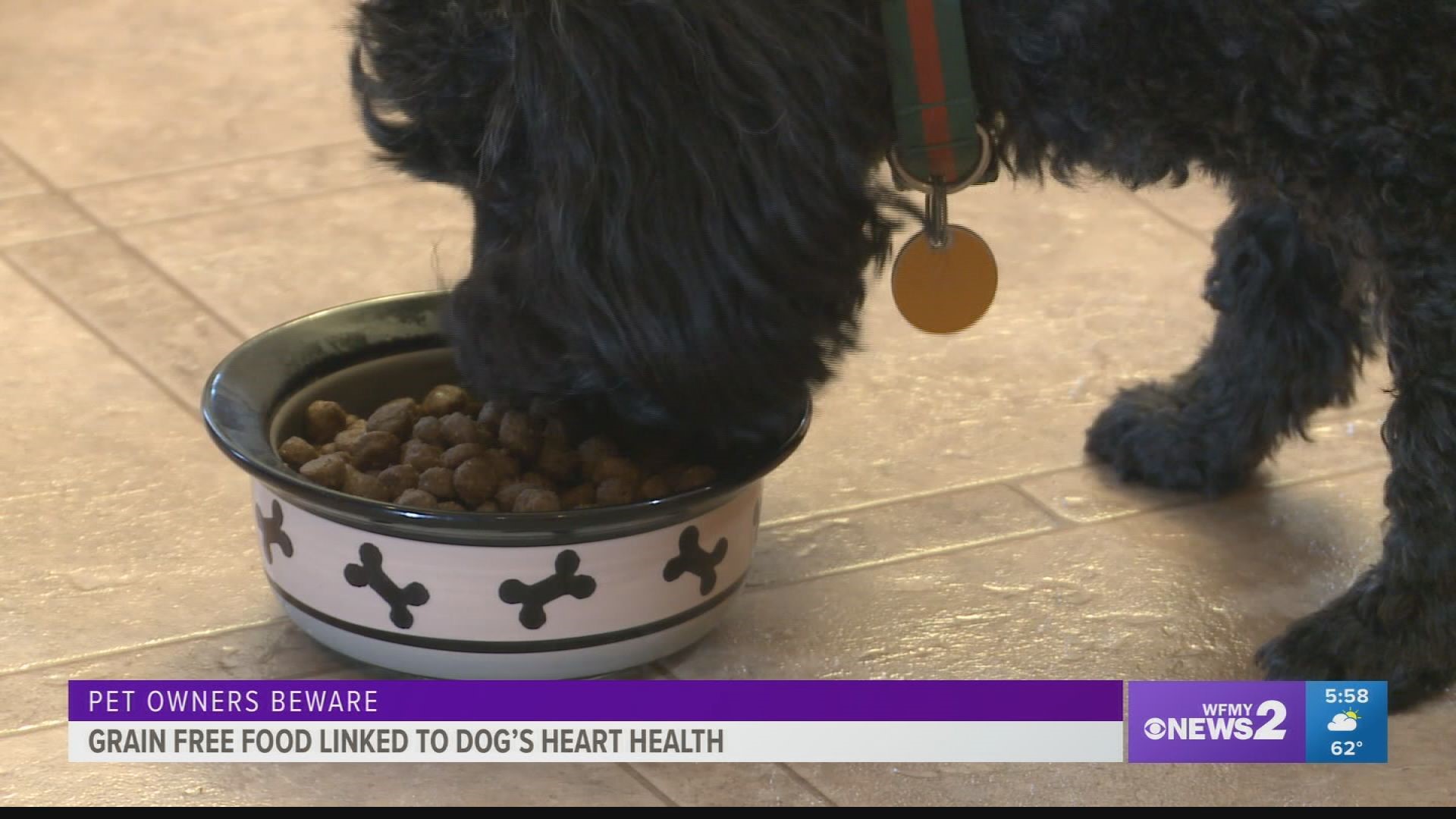 The FDA is investigating a possible link between grain-free food and heart failure in dogs.