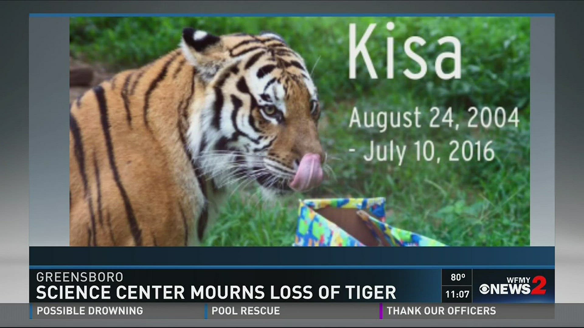 Greensboro Science Center Mourns Loss Of Tiger, image size:1920x1080