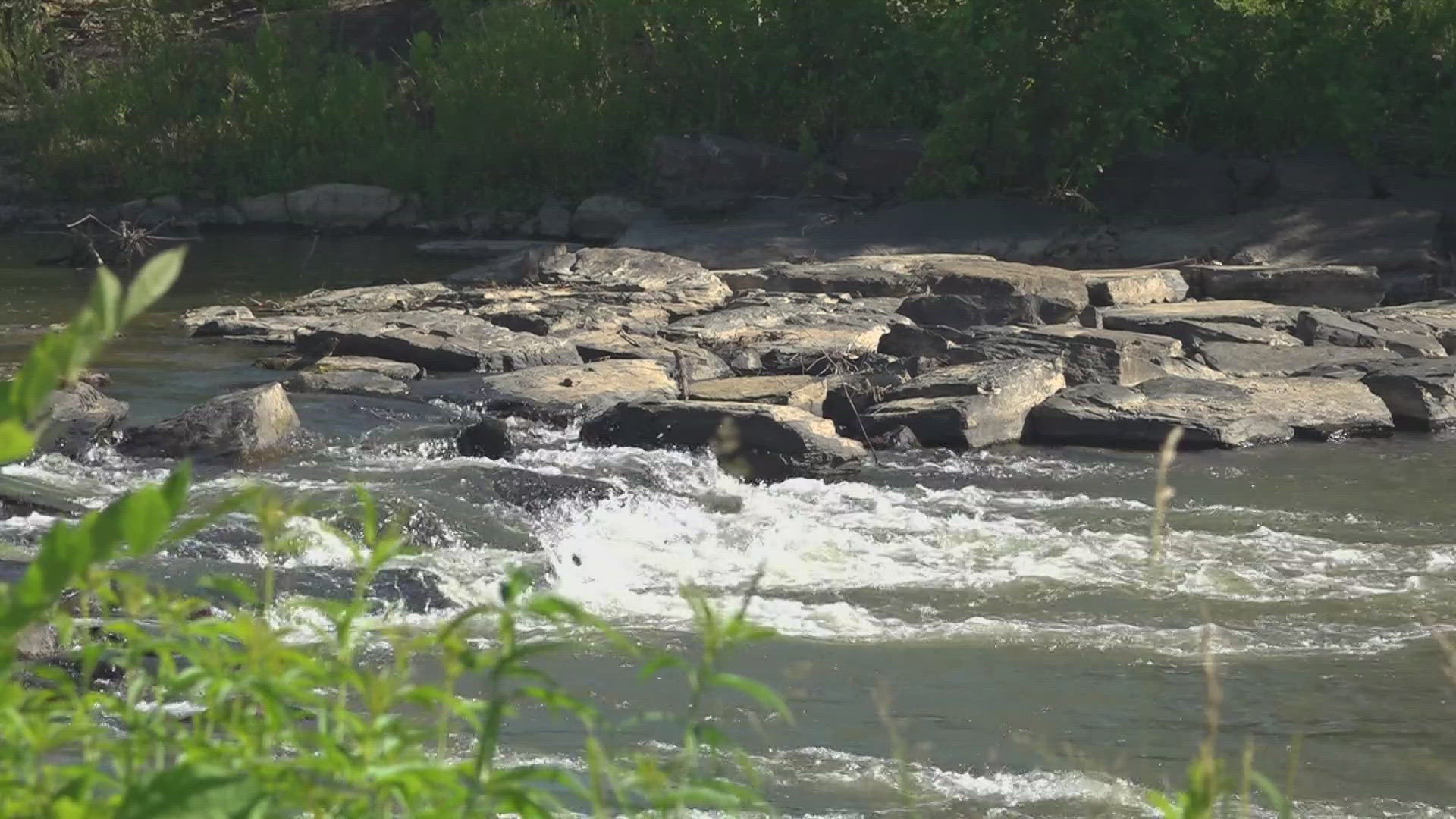 Triad rivers are very active this time of year.