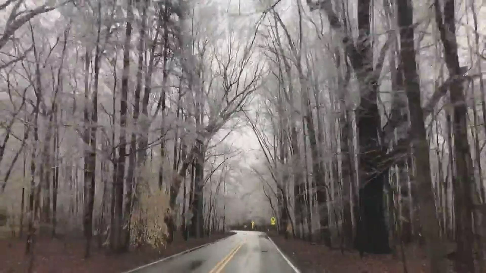 The trees at Battleground Park in Greensboro were covered in ice Thursday!