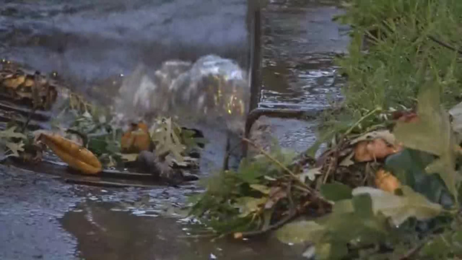 Trees, Power Lines Down In & Around Madison