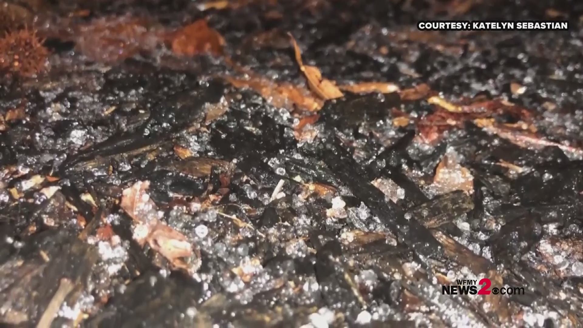Your sleet videos! Check out the sleet falling across the Piedmont Triad.