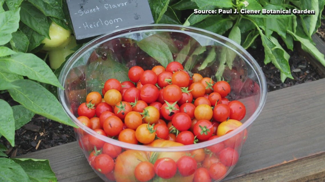 Get free soil tests in Guilford County