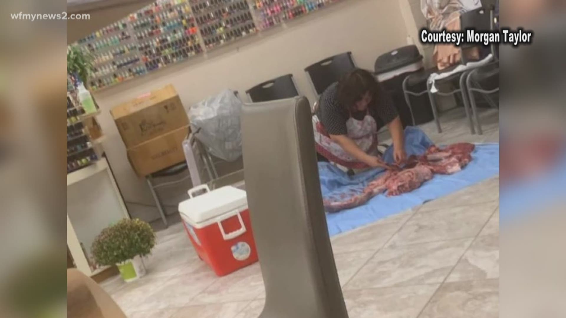 The North Carolina Board of Cosmetic Art Examiners say Diamond Nails in High Point is not unsanitary for butchering a deer in the middle of the salon.