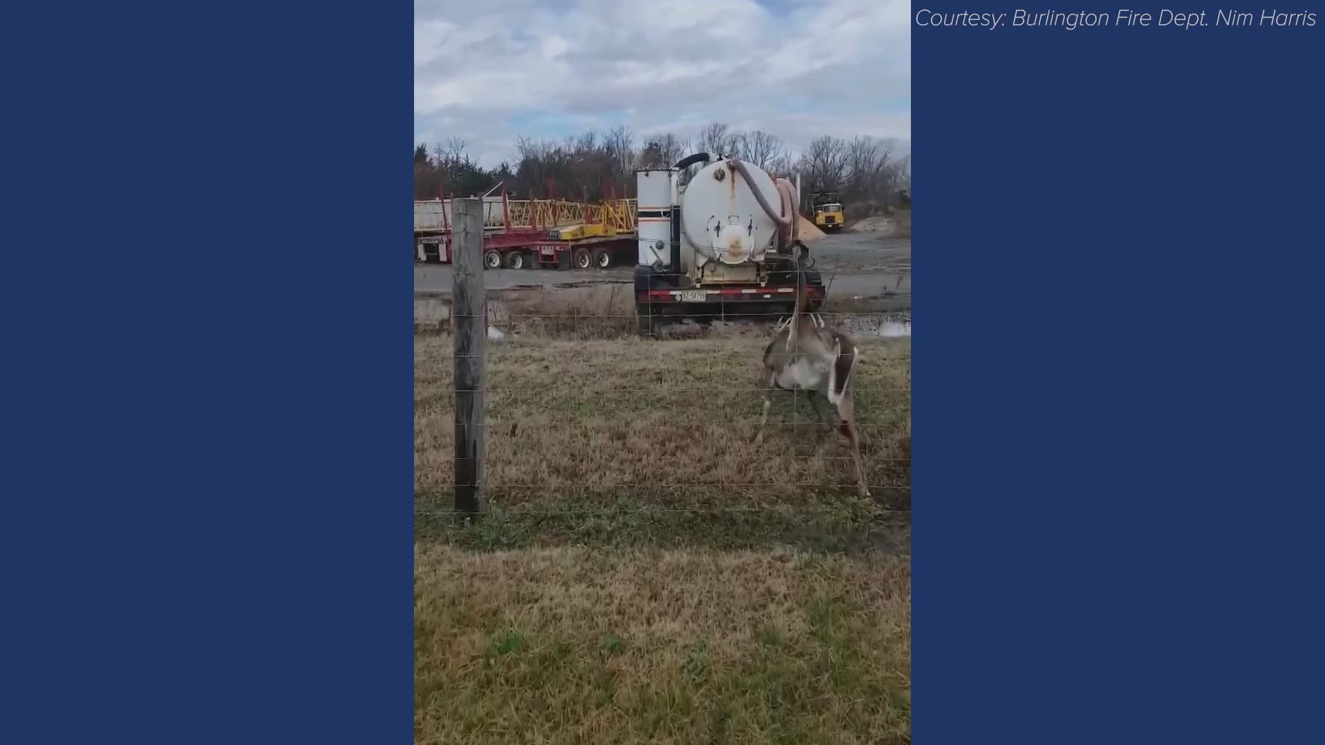 According to Burlington Fire, the deer was found stuck at the intersection of Huffman Mill Rd/University Dr. in Burlington on Sunday.