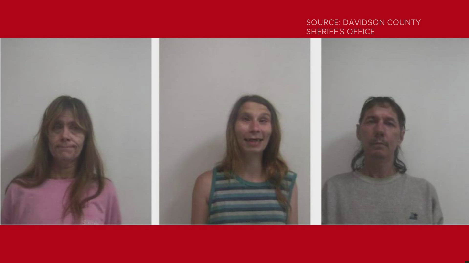 Three people arrested in Davidson County connected with animal cruelty ...
