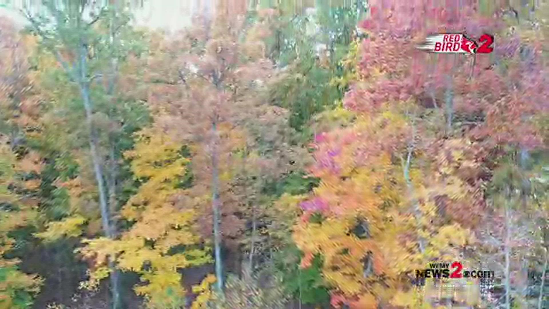 Check out this drone video of the fall leaves in Country Park in Greensboro!
