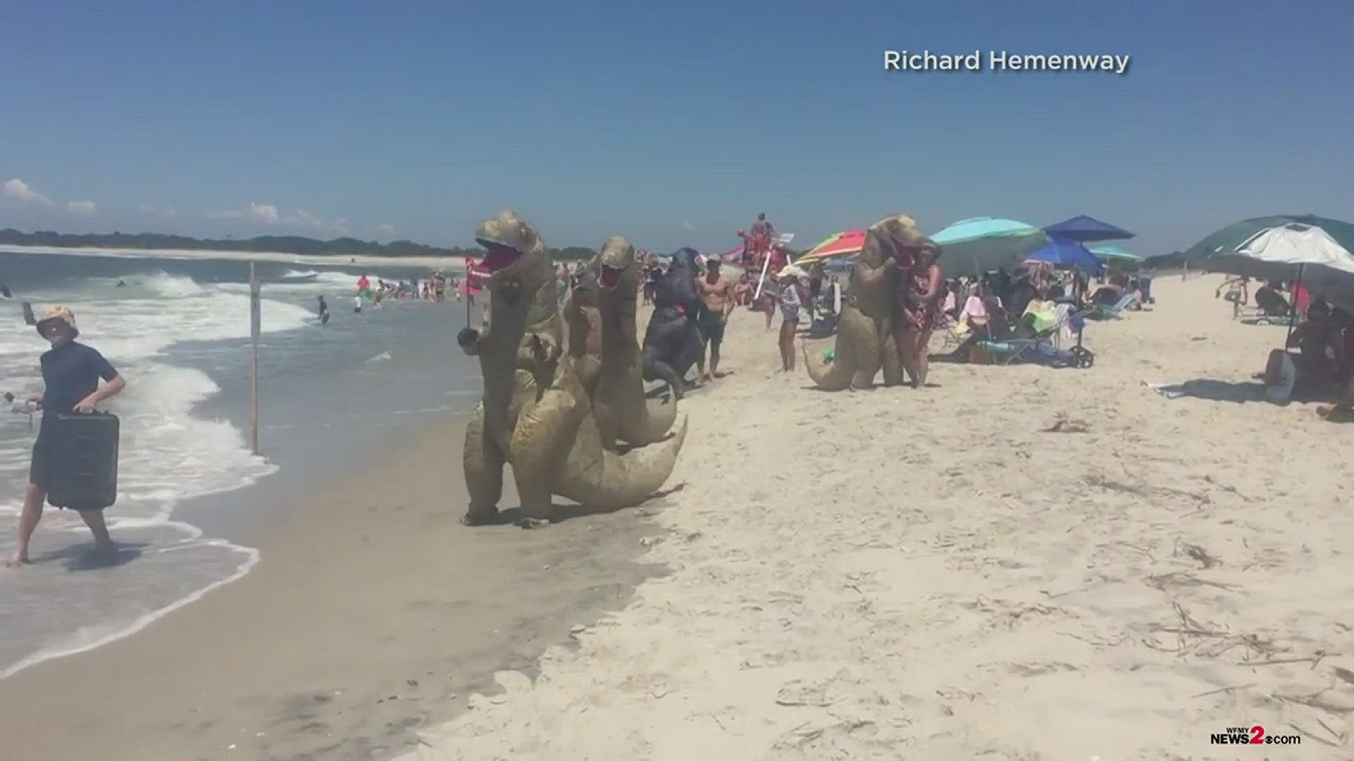 Check out these dancing beach dinosaurs found on Cape May in NJ