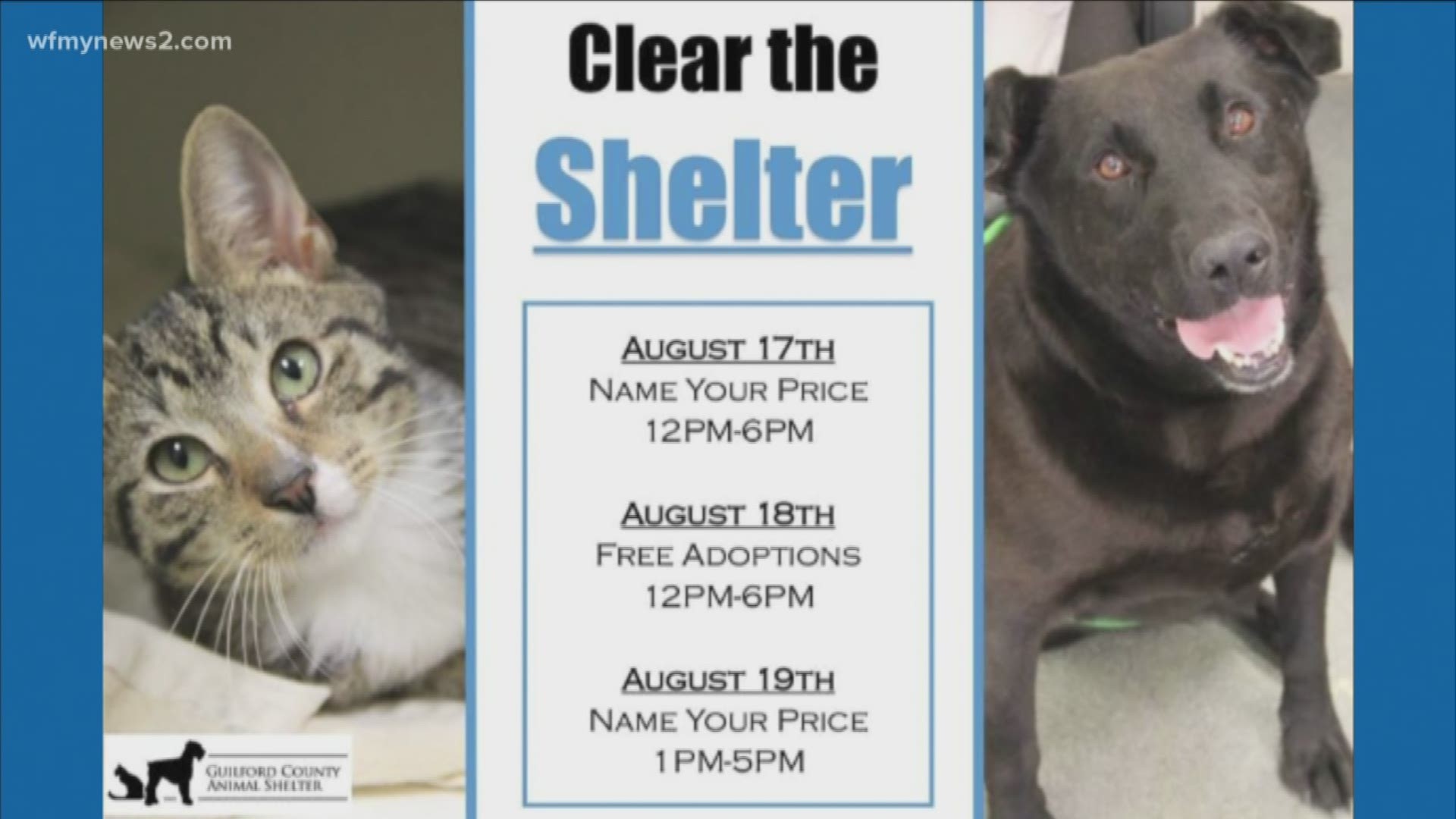 Help Clear The Animal Shelters This Weekend