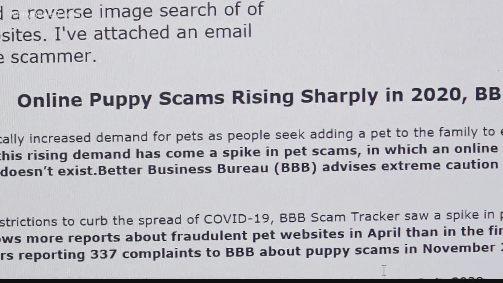 The woman was the victim of a growing puppy scam trend and has a warning so you don’t become a victim too.