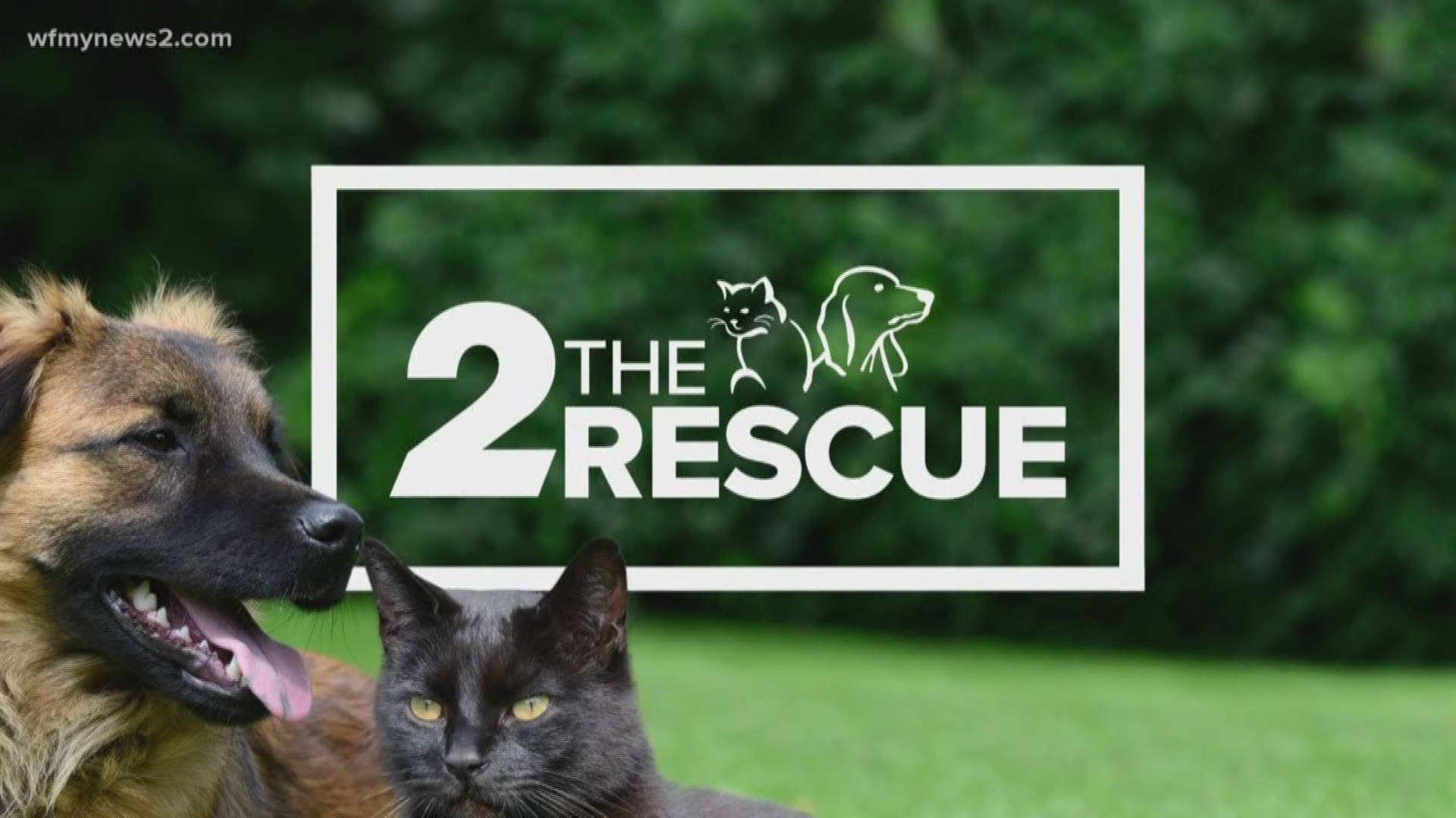2 The Rescue Special This Weekend