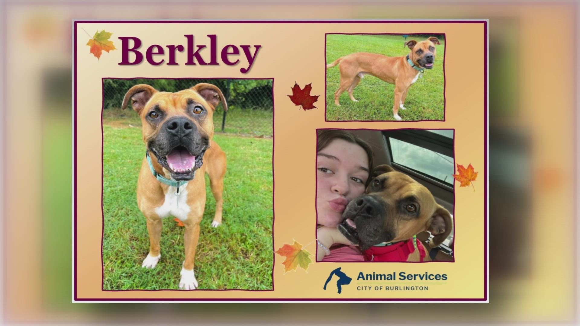 Berkley is a one-and-a-half-year-old fun-loving boy full of personality and sweetness!
