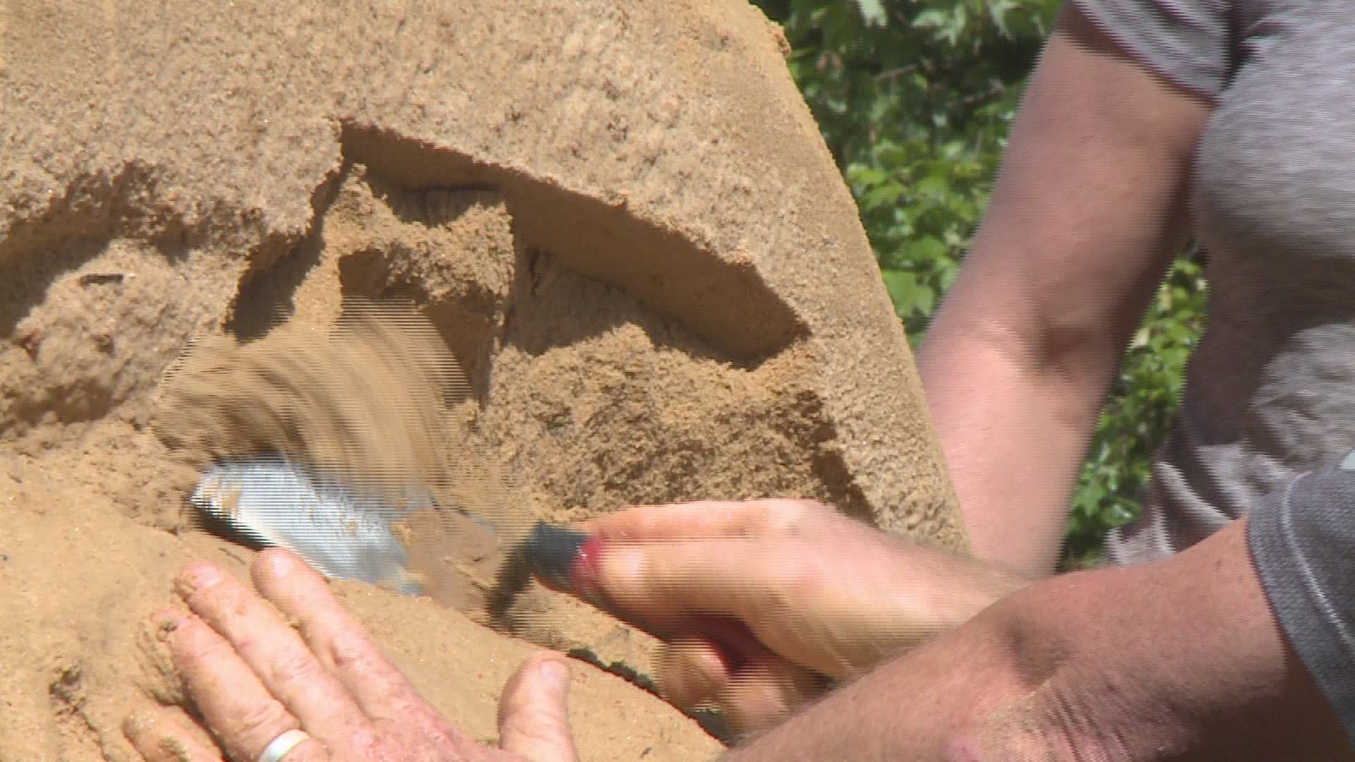Lexington BBQ Festival Sand Sculpture