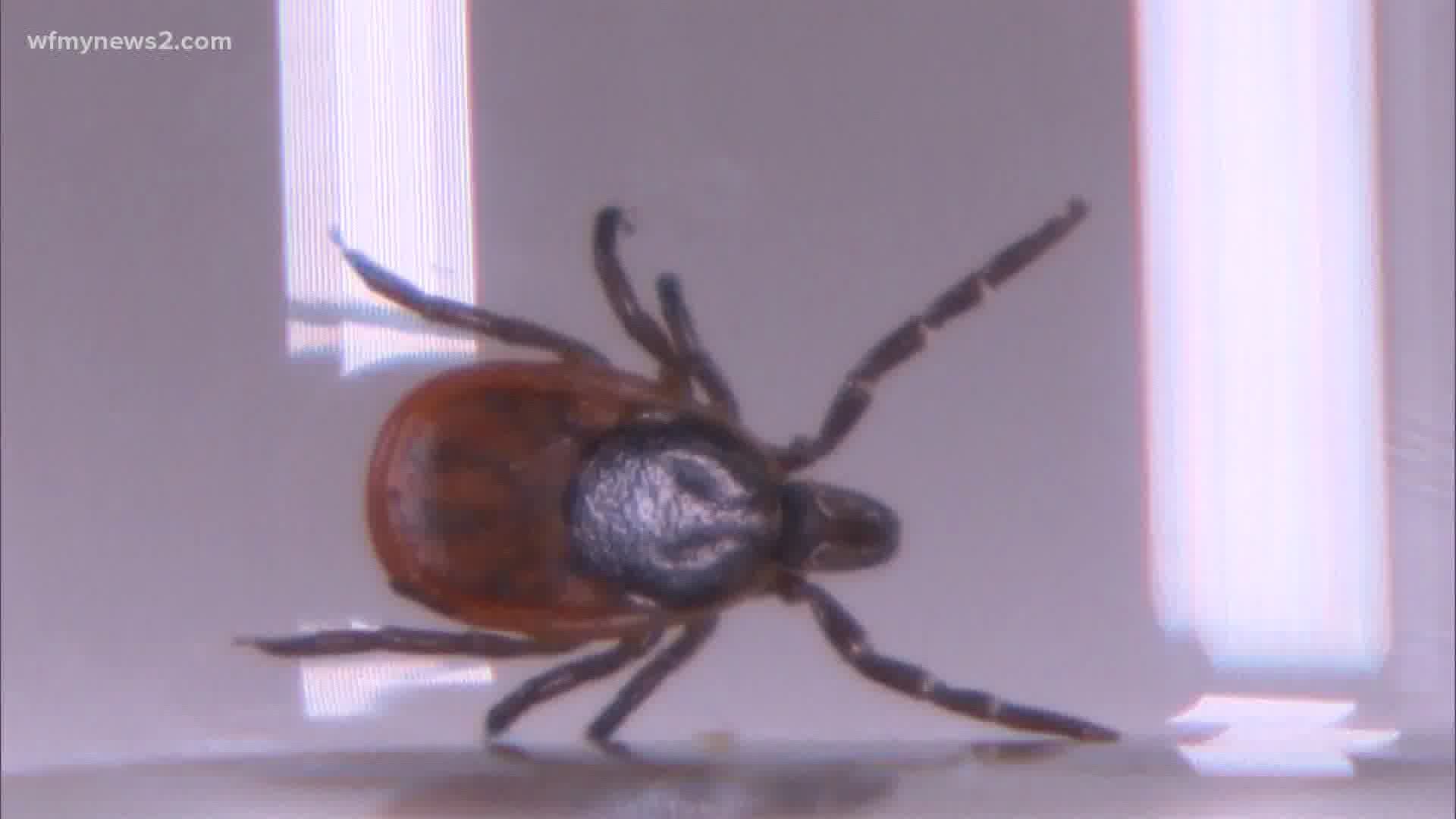 Health experts are warning people about the symptoms of Lyme Disease. The disease has symptoms similar to coronavirus and infects more people in the summer.