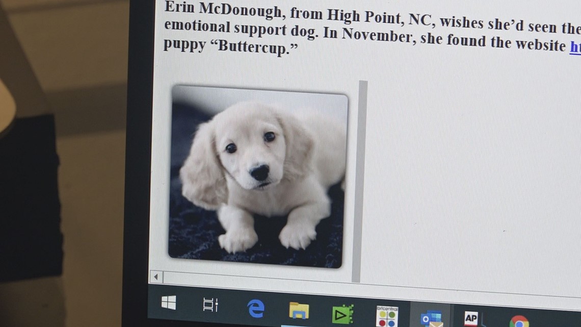 High Point woman loses hundreds of dollars to online puppy scam