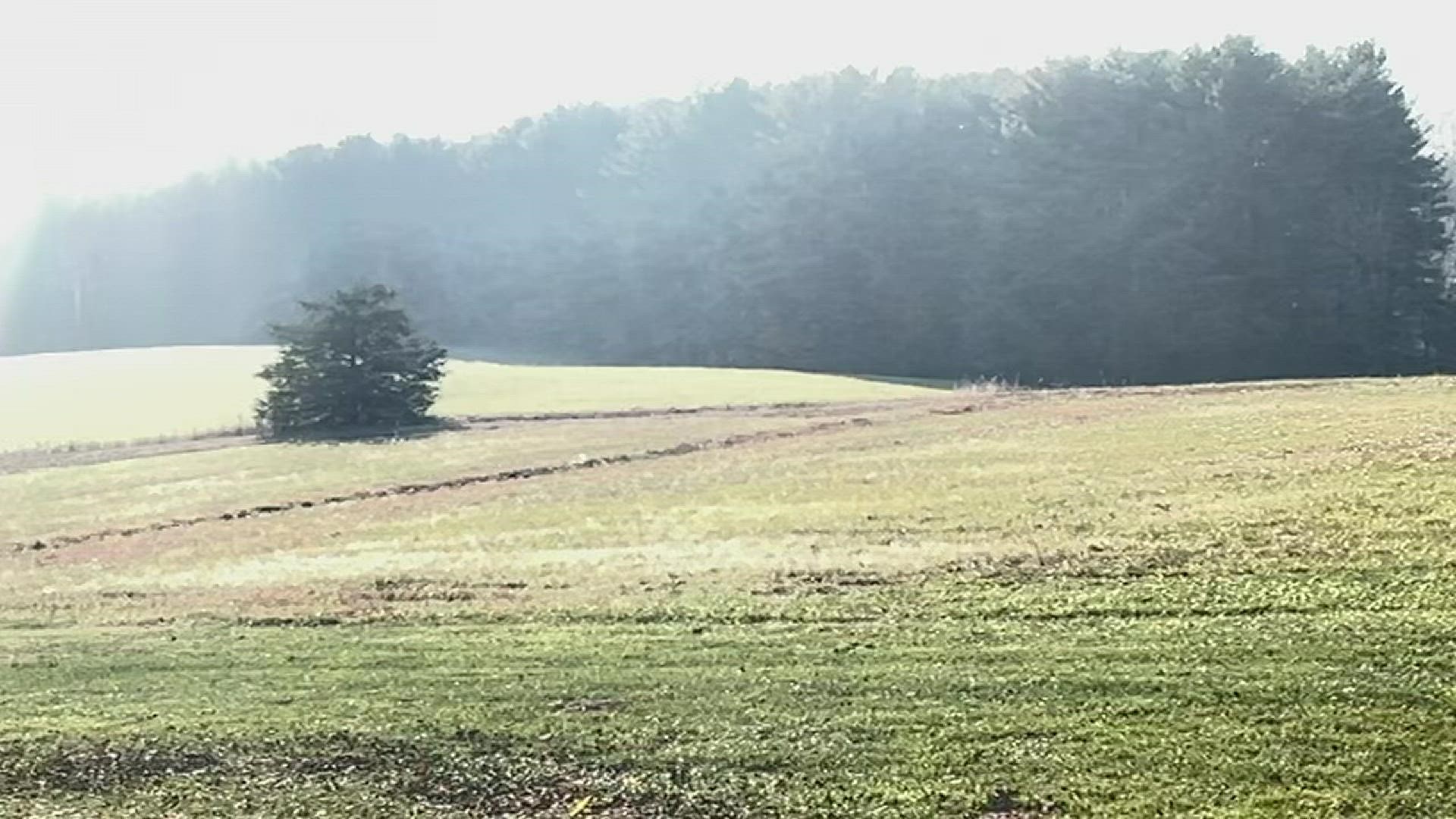 Dwayne Young shared this video of ash falling in Lawsonville in Stokes County from the wildfire.