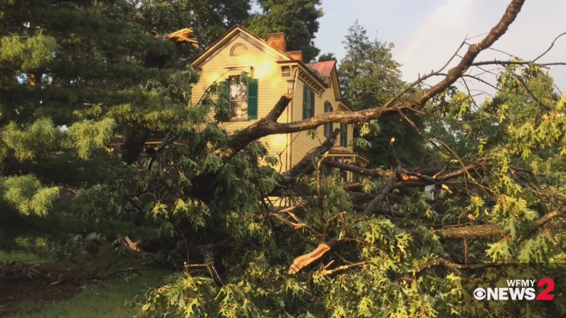 Trees Down At Governor Reid House