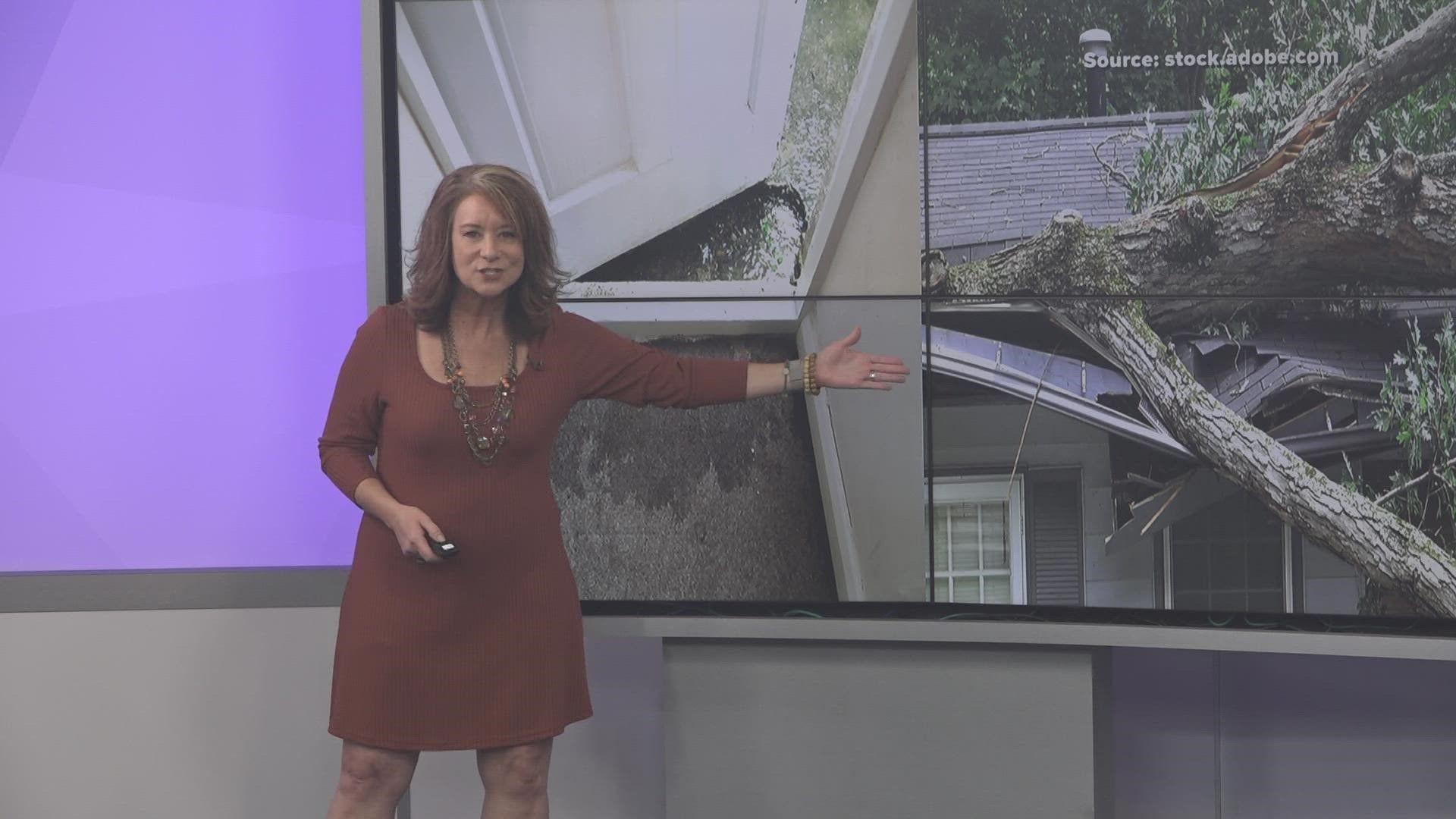 Fallen trees and water damage are covered. Seepage from a lot of rain is not covered. Experts from Alliance Insurance Services explain why.