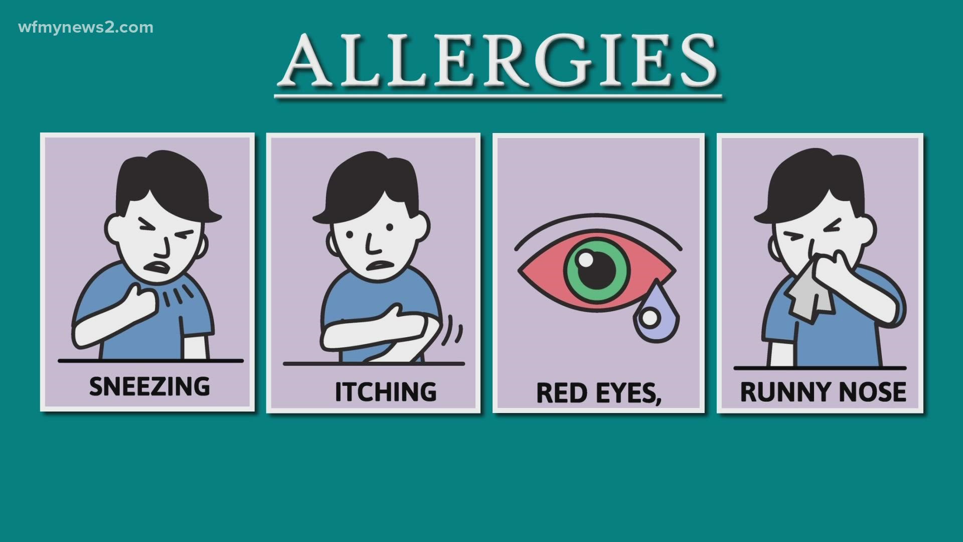 Allergies may be worsening as pollen season gets warmer and longer : Shots  - Health News : NPR