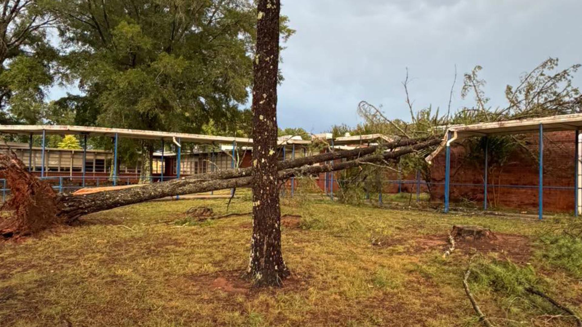 Rain Tree Example Western Rockingham Middle classrooms damaged by thunderstorms ...