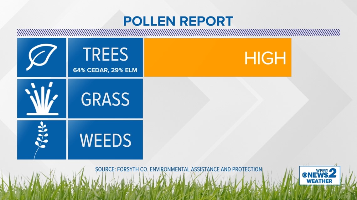 Allergy Season Starting Early in North Carolina - Vimarsana News