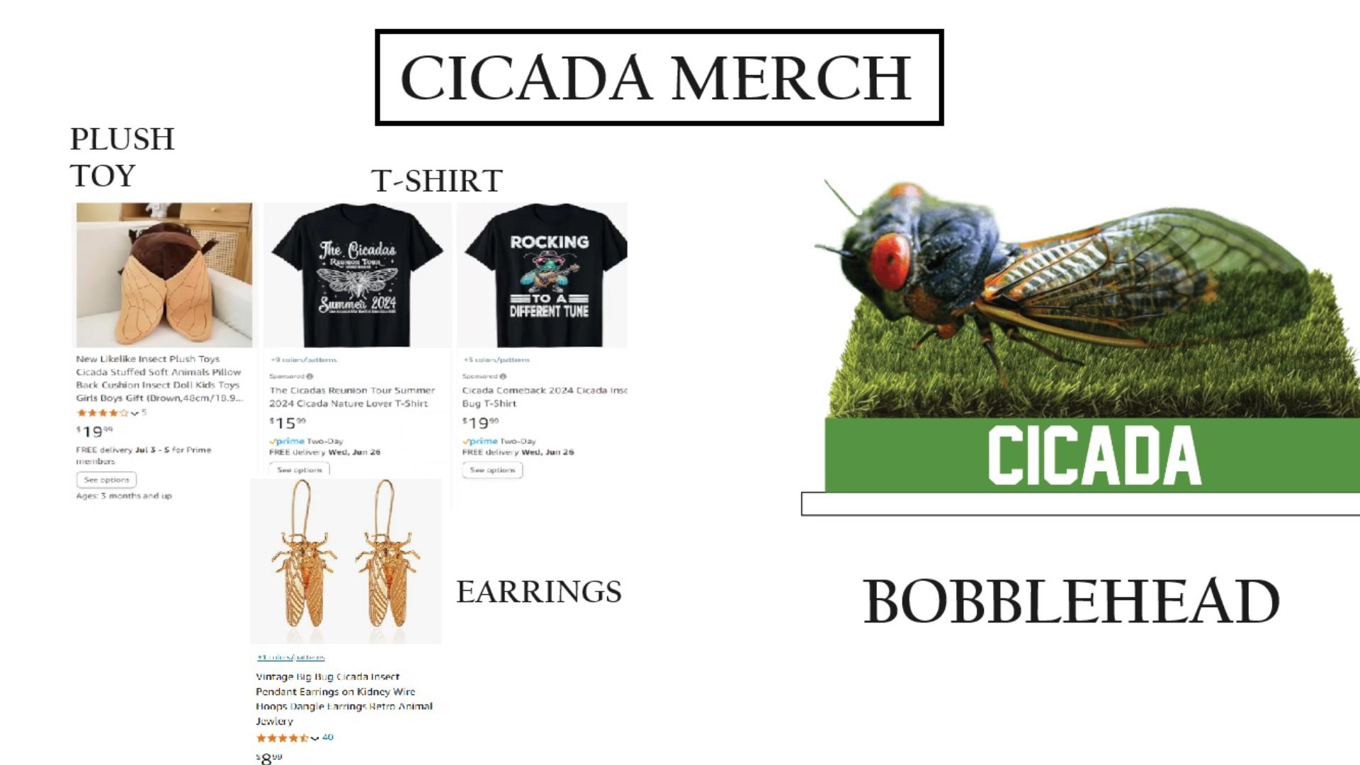 There is a limited-edition Cicada bobblehead available to commemorate the overlap of the 13-year and 17-year Cicada.