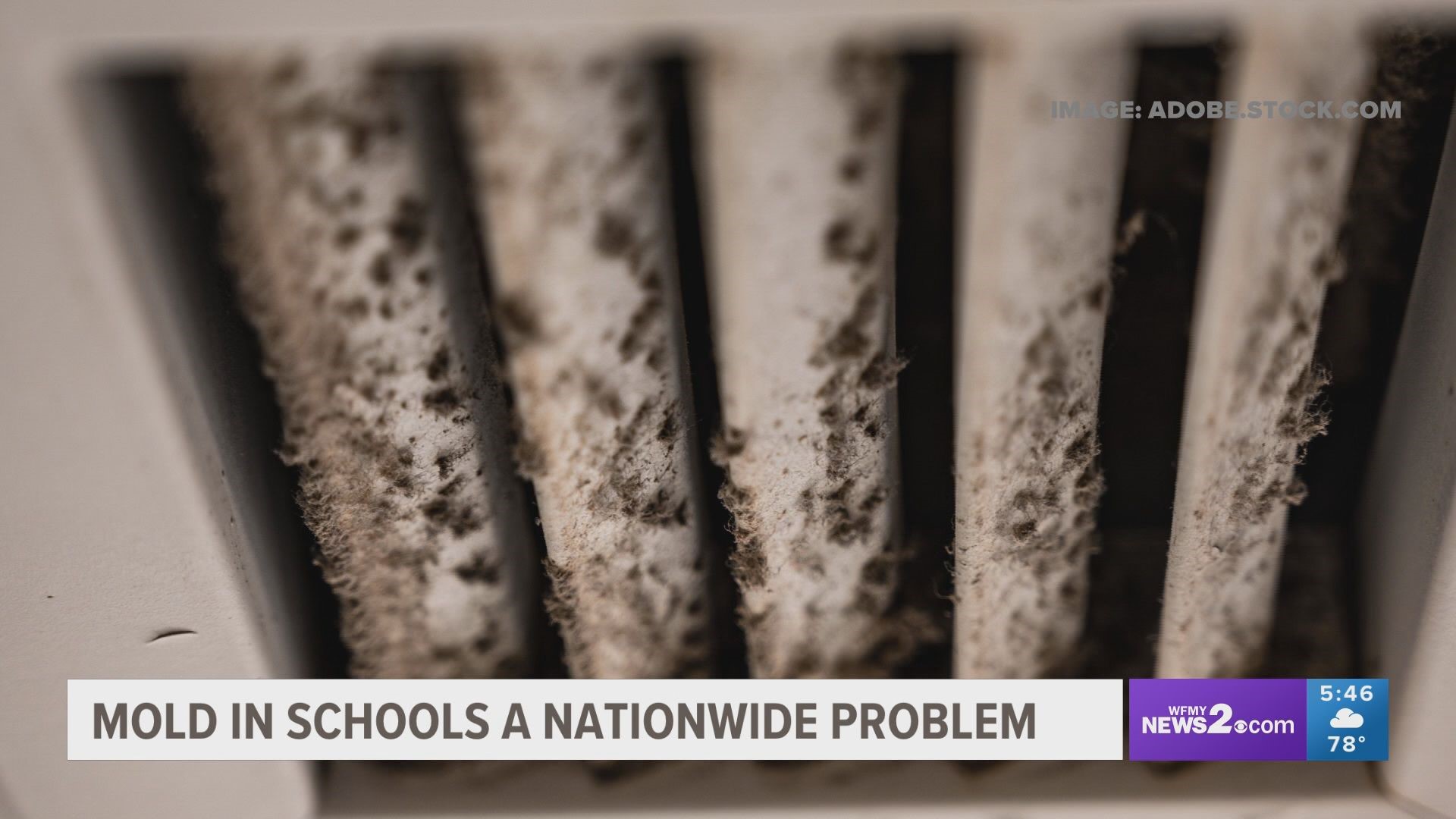 In total, mold was found in 17 ABSS schools. Two of the schools had toxic mold.