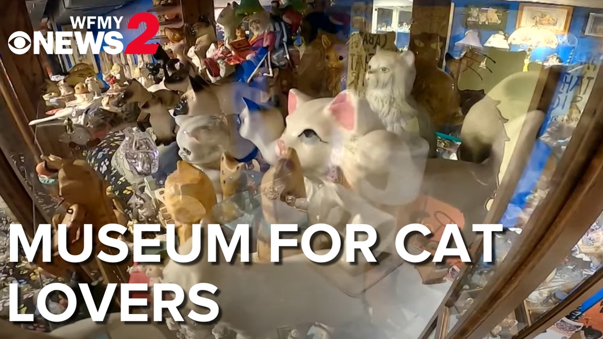 It’s a museum entirely dedicated to cats!