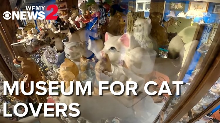 Cat lovers will want to visit this museum