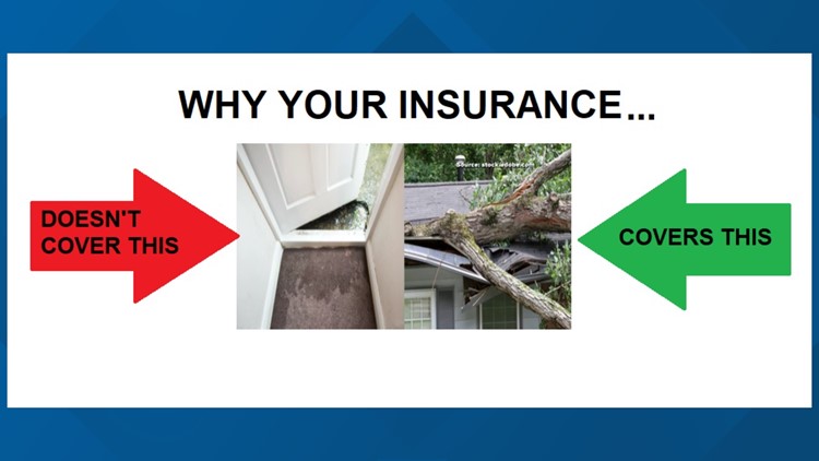 Insurance: What storm damage is covered & what's not