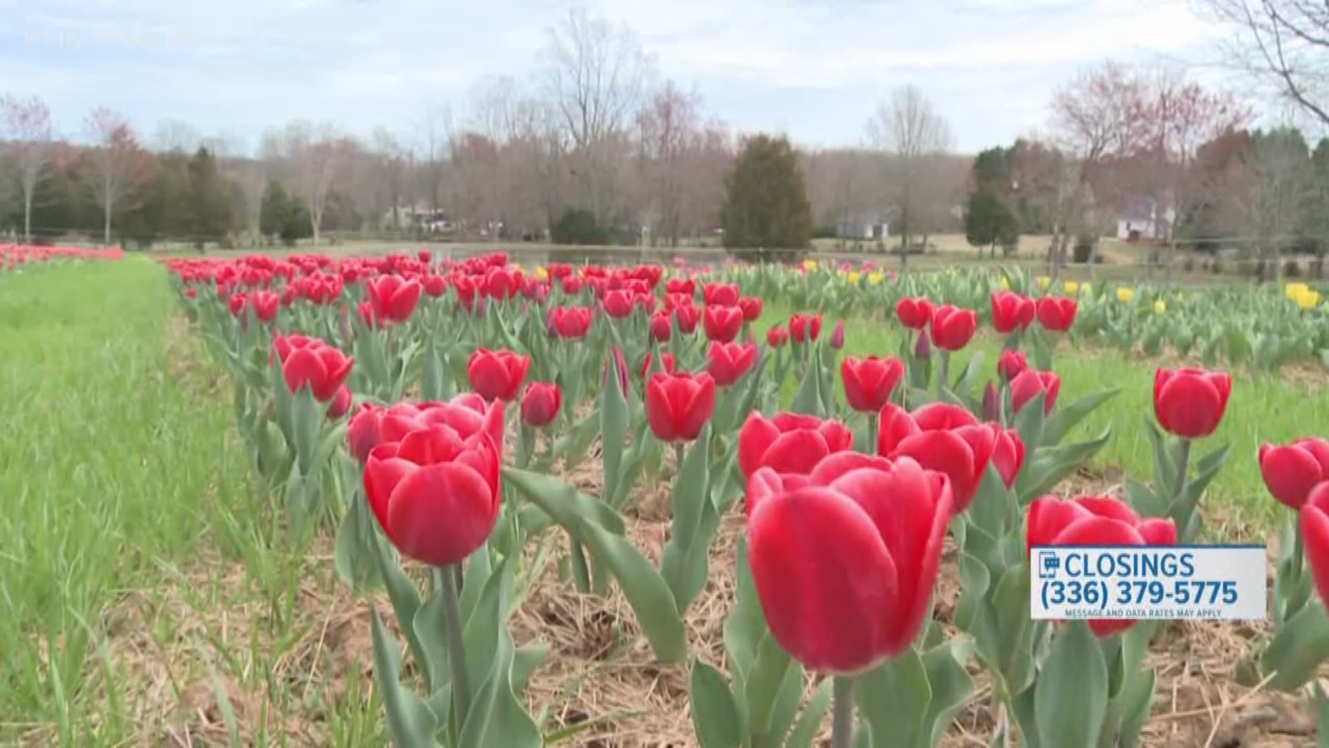 A ticket system will be in place to limit the number of people in the fields at any given time. This will keep less than 75 people in the fields and allow for social